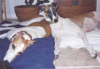 CJ (now Crickett) and sister, Casey