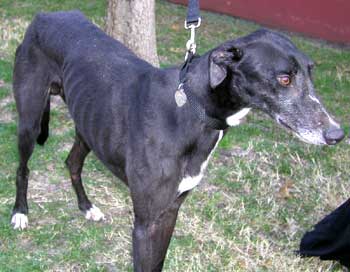 Duncan