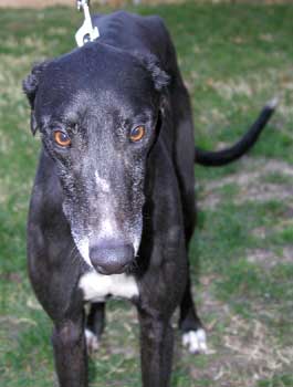 Duncan