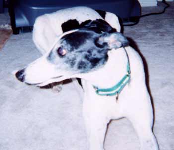 Missy