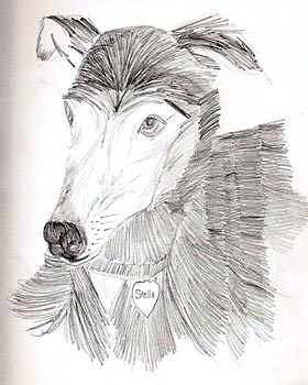 Stella
